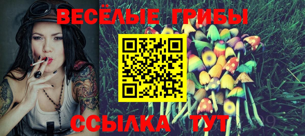 Галлюциногенные грибы мицелий  Вход с VPN  Рассказово 